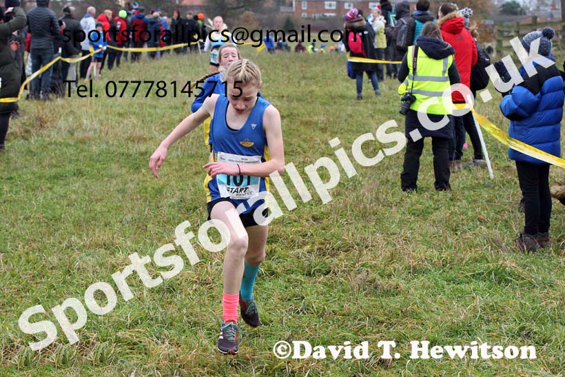 Girls under-13s, 2021 North Eastern Cross Country Championships, Sedgefield. Photo: David T. Hewitson/Sports for All Pics